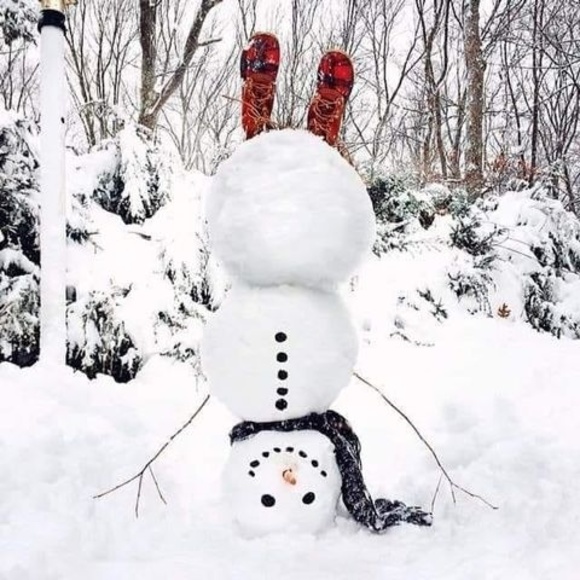 Meet your Posher, Kriss - Picture 1 of 1